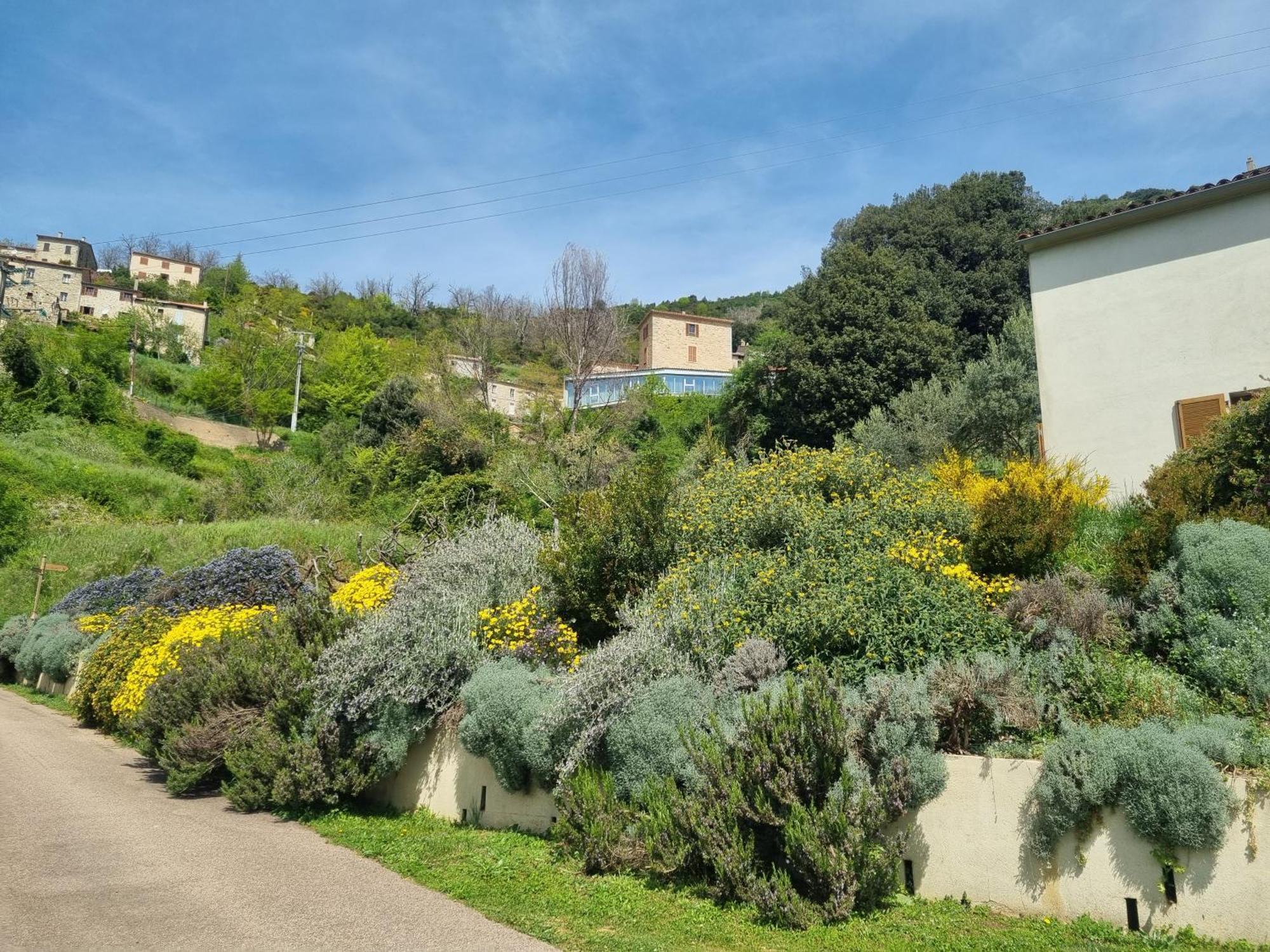 Cote Lac Tolla Exterior foto