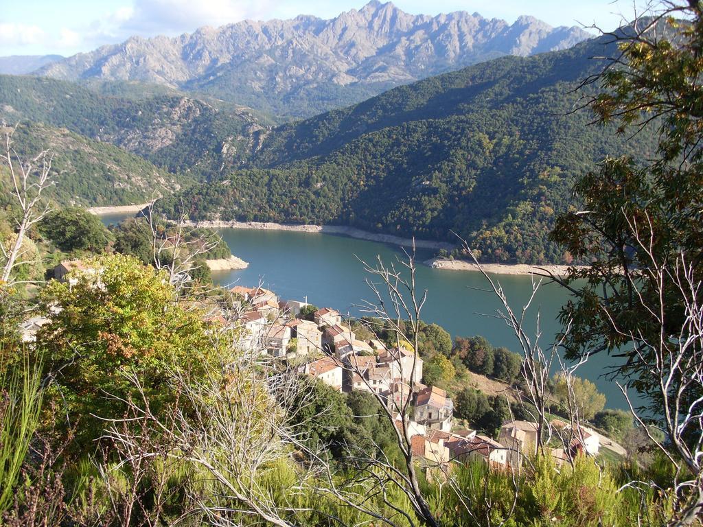 Cote Lac Tolla Cameră foto