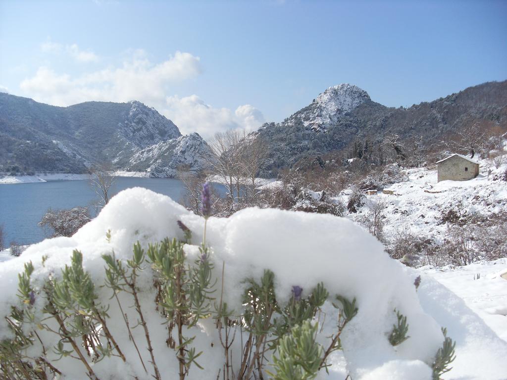 Cote Lac Tolla Cameră foto